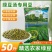 绿豆