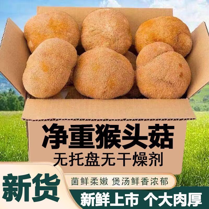 猴头菇
