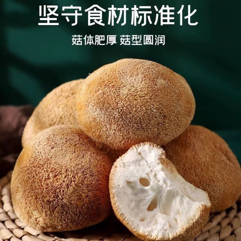 猴头菇