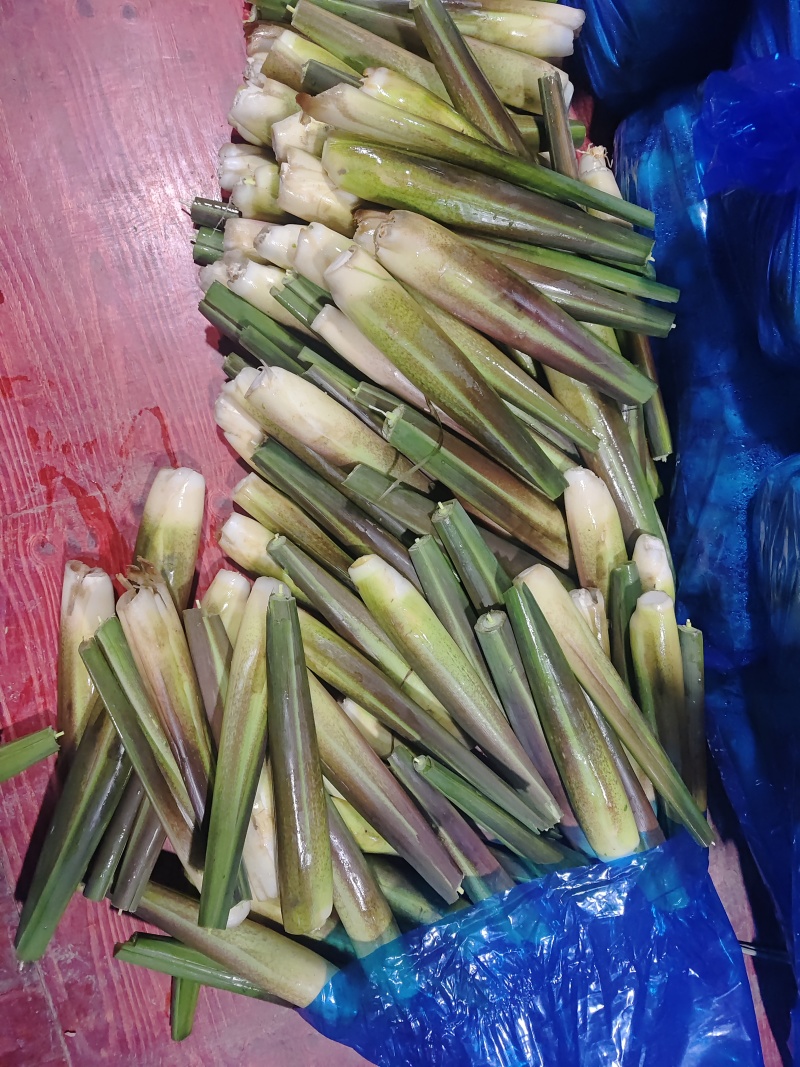 茭白地头现采现发，大量现货供应，规格齐全，电联价格可谈