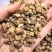 毛慈菇精品毛慈菇无硫只卖好货品质保证价格优惠