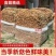 茶树菇