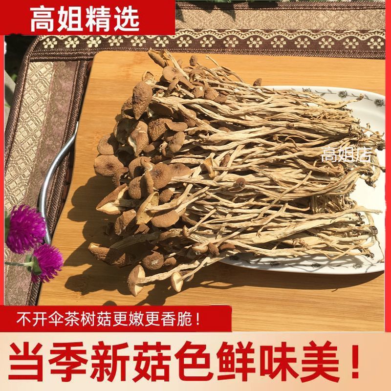 茶树菇
