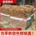 茶树菇