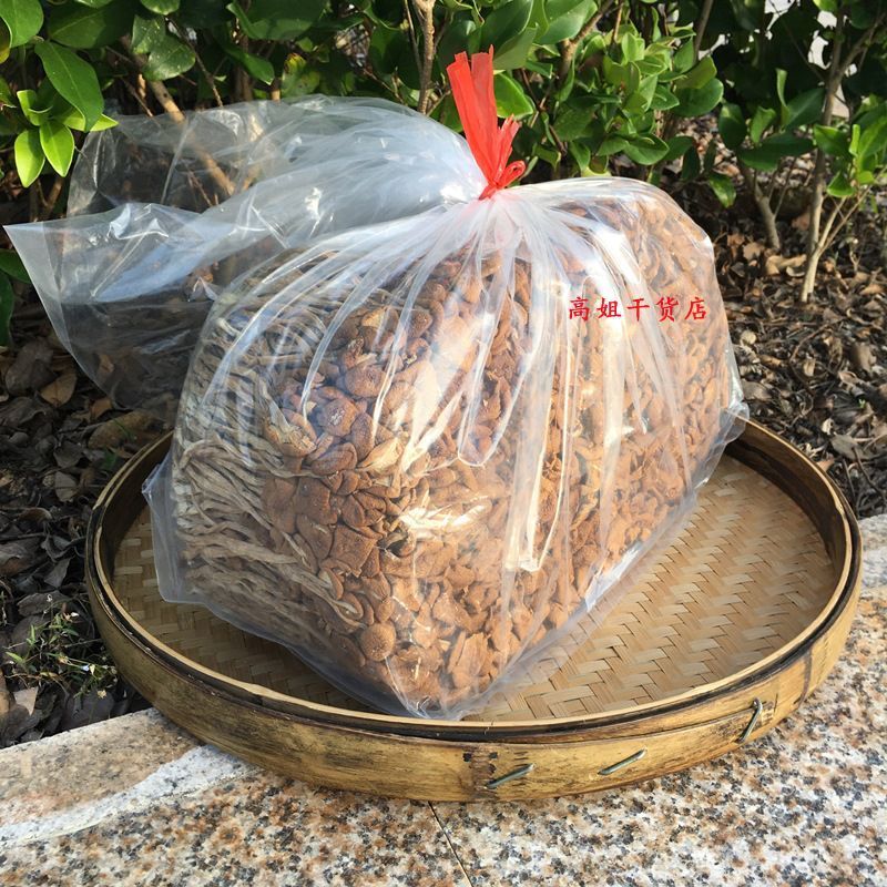 茶树菇