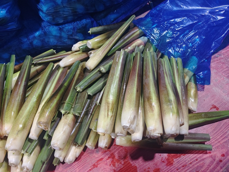 广东茭白精品茭白规格齐全，货源充足，量大从优，可视频看货