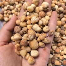 山慈菇光茨菇无杂质品质保证价格实惠