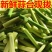 精品白帽，蒜苔红帽，蒜苔，品质好，质量有保障，加工厂电超