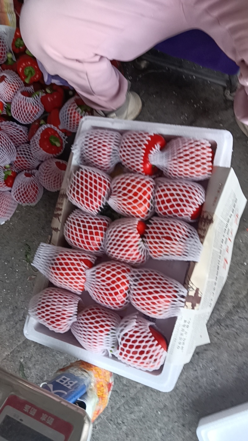 精品红泡椒甜椒商超市场批发零售