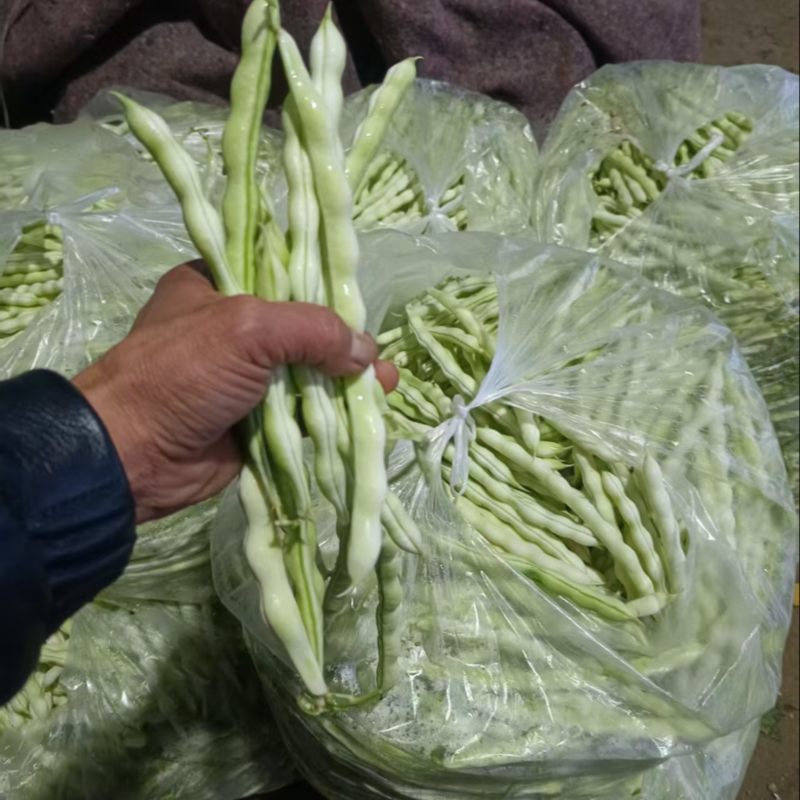 芸豆，
