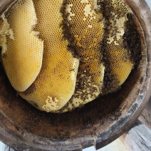 高山蜂蜜