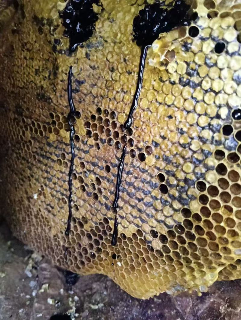 临沧土蜂蜜