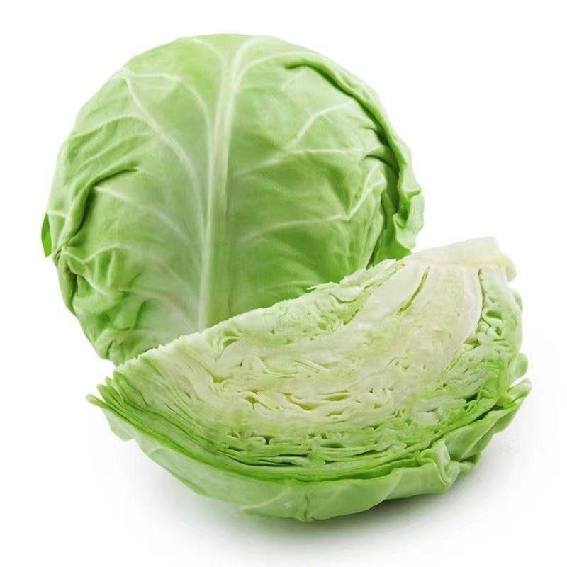 河南甘蓝，精品圆包菜，质优价廉，可视频看货，欢迎咨询