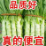 河南莴笋，红叶香莴苣，基地直供，量大优惠，欢迎咨询~