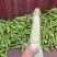 精品玉米，大量有货！需要的联系