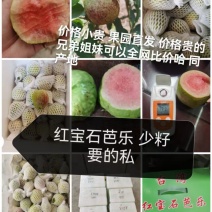 红宝石芭乐番石榴少籽系列