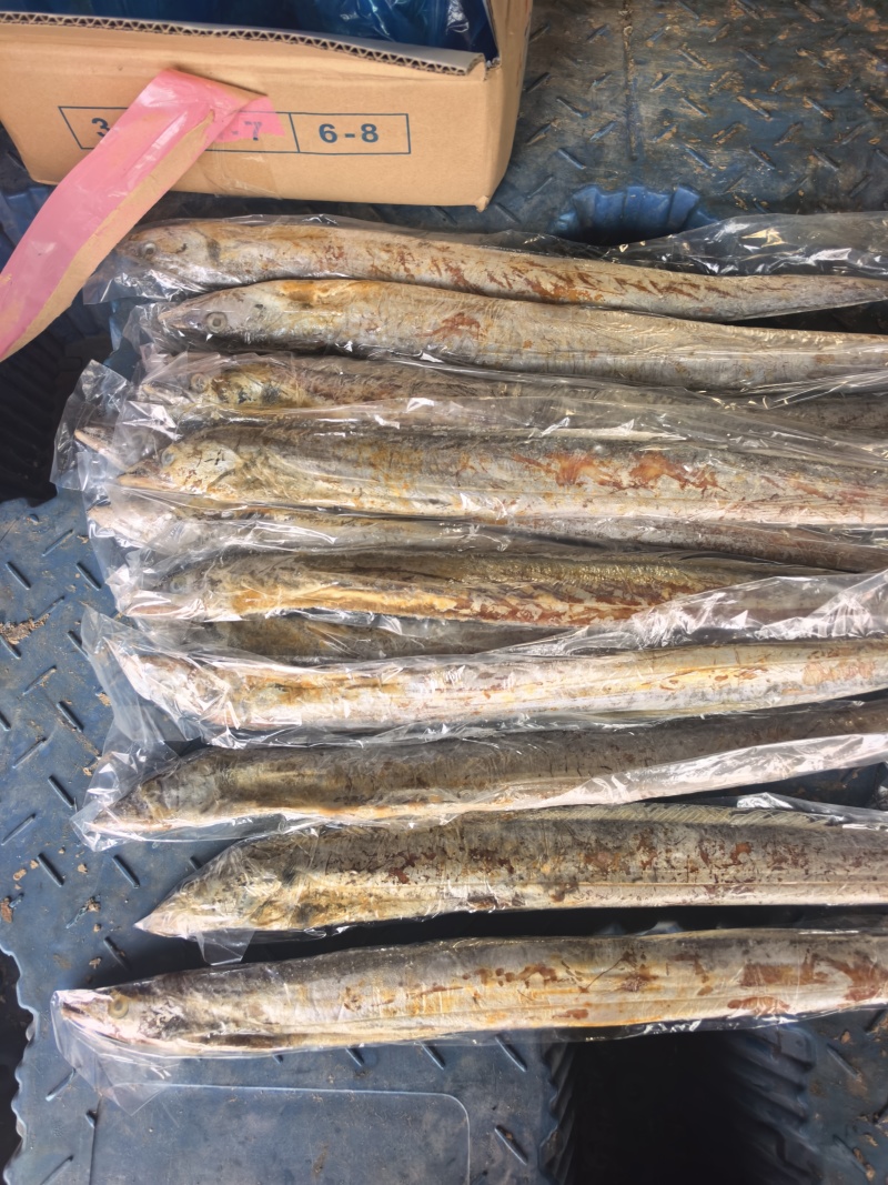 3.5两带鱼发黄出油了，饲料价格出