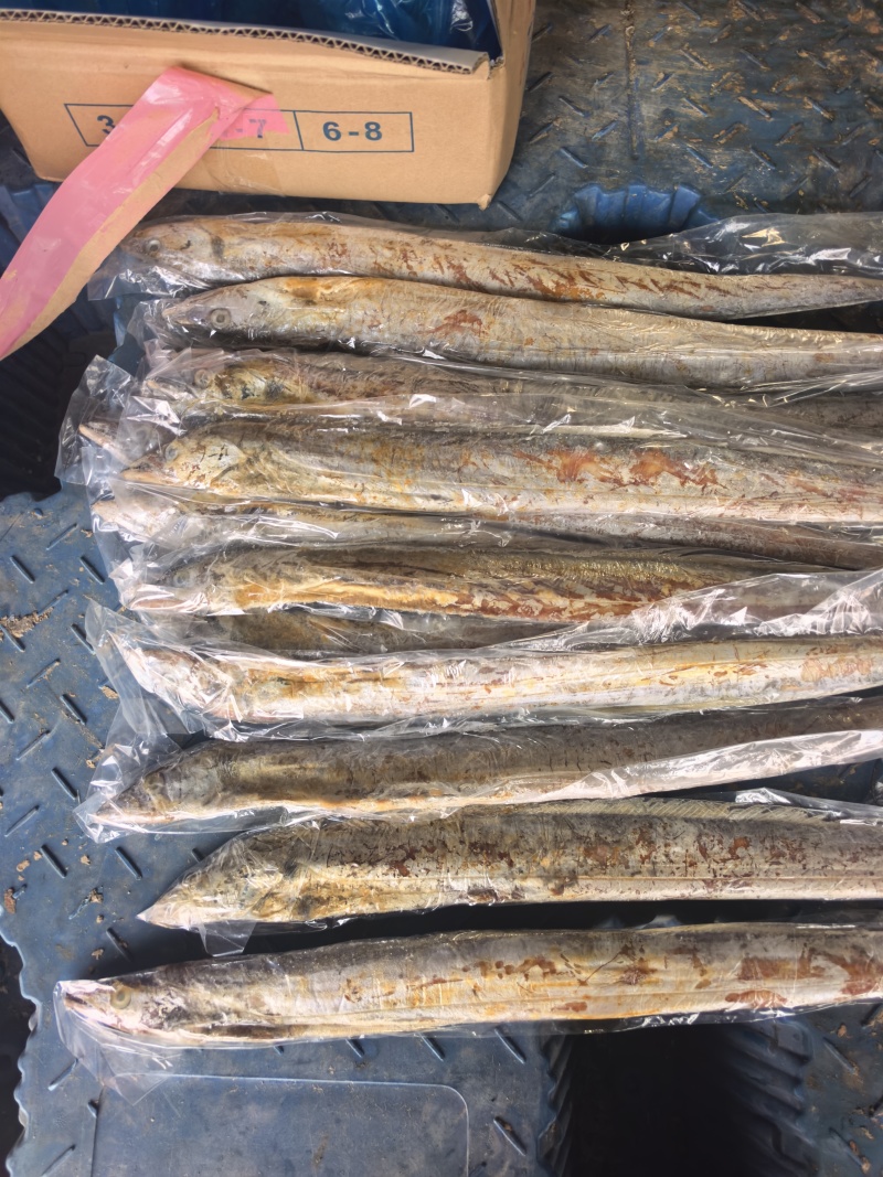 3.5两带鱼发黄出油了，饲料价格出
