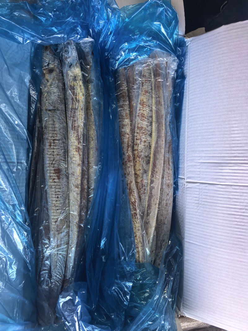 3.5两带鱼发黄出油了，饲料价格出