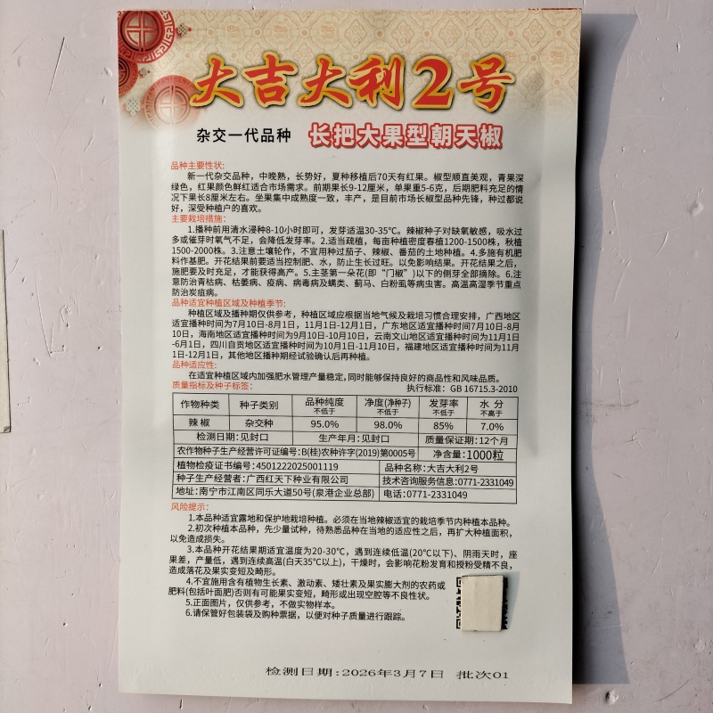 新红霸王大果朝天椒种耐寒高产硬度好春季大田基地种植尖椒种