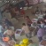 平和早熟红桃大量上市中
