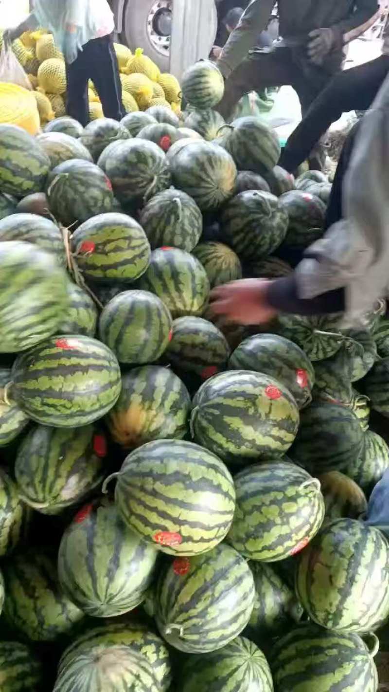 云南盈江露天甜王西瓜，有籽无籽都有货，欢迎来聊，大吨位供