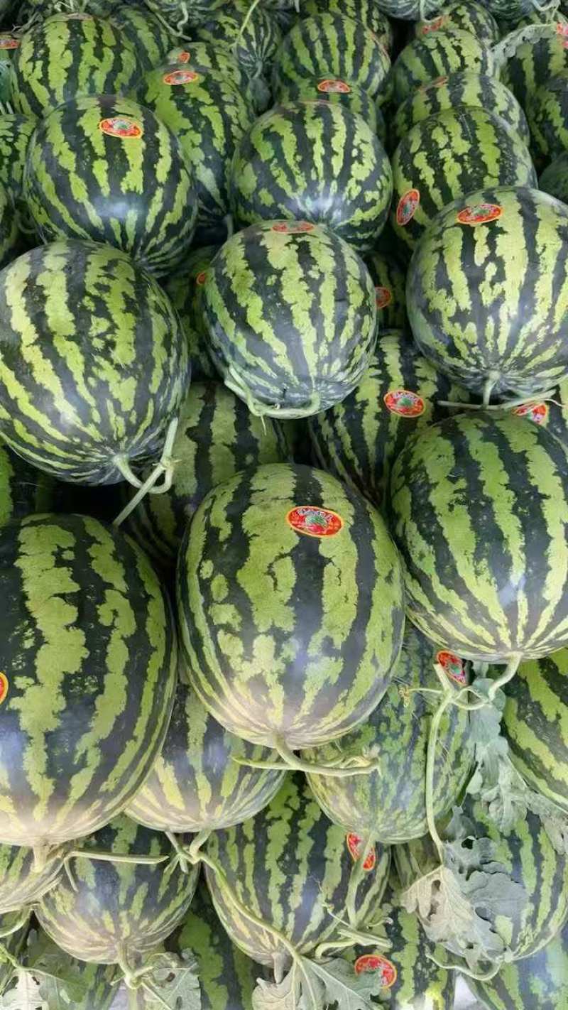 云南盈江露天甜王西瓜，有籽无籽都有货，欢迎来聊，大吨位供