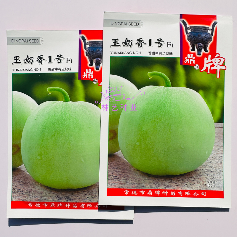 鼎牌玉奶香1号甜瓜种子薄皮大果早熟香味浓郁甜度高甜瓜种籽
