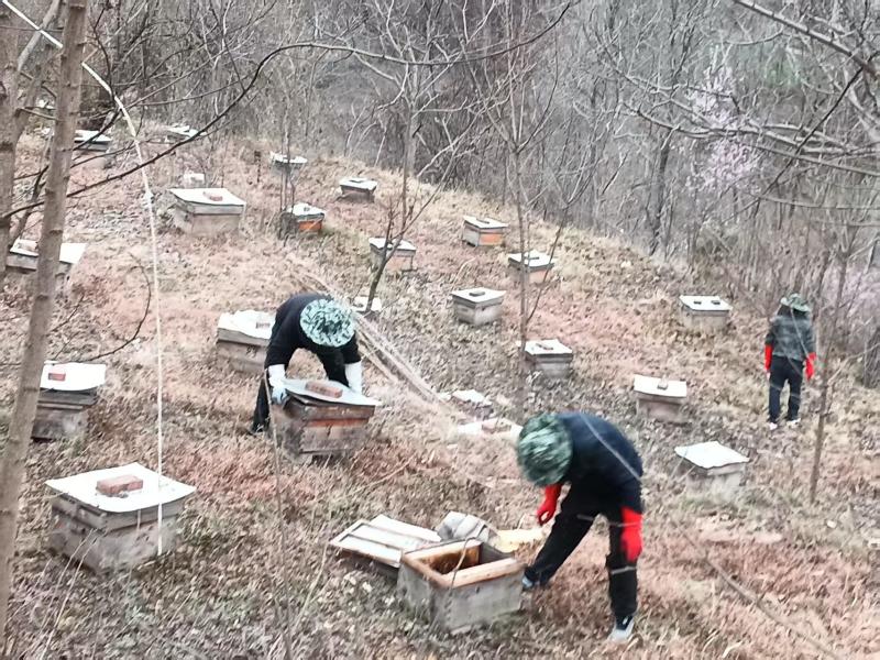 精品山林新产蜂蜜农家土蜂蜜品质上乘欢迎老板咨询。