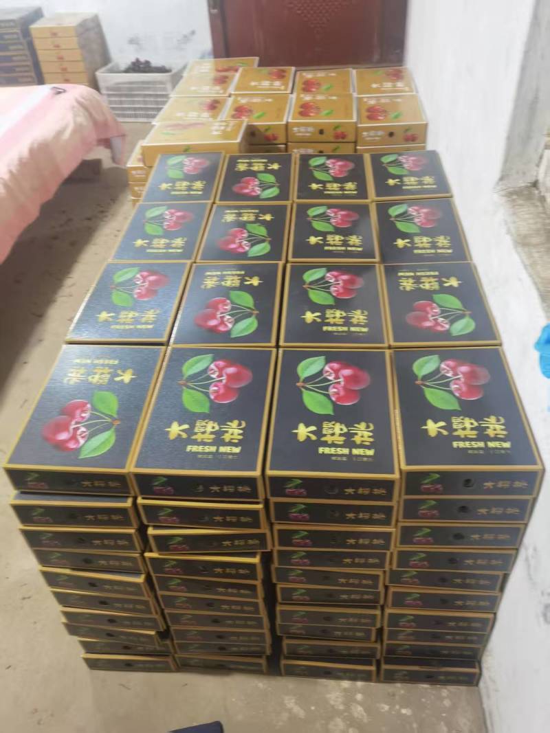 美早大樱桃