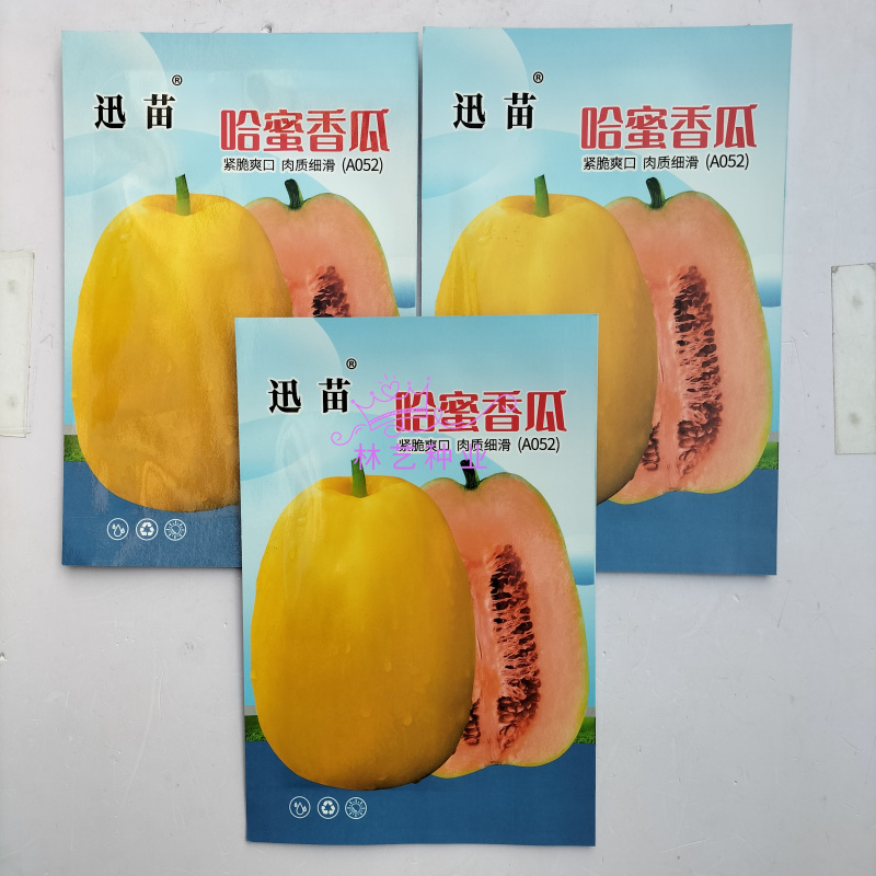 哈密香瓜种子早熟大果耐裂香瓜籽黄皮香甜瓜种子皮薄肉厚