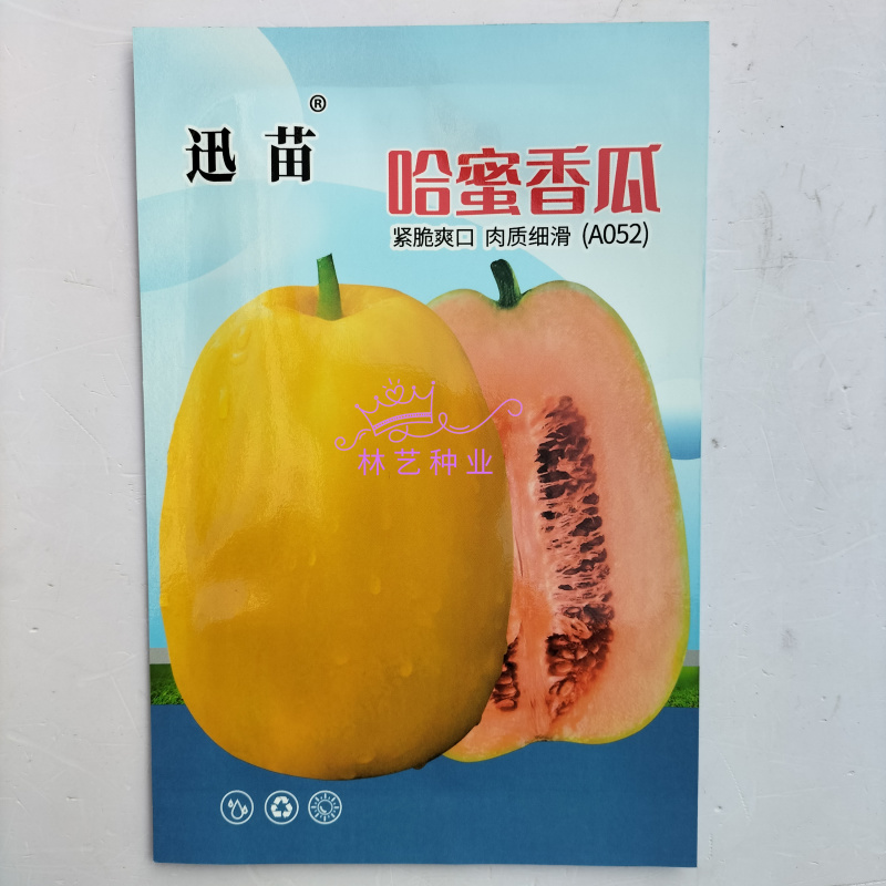 哈密香瓜种子早熟大果耐裂香瓜籽黄皮香甜瓜种子皮薄肉厚