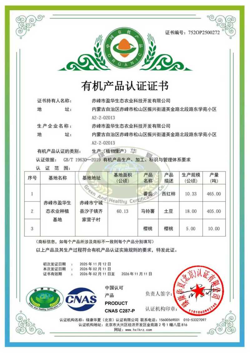 内蒙精品土豆试验1号黄心土豆/沃土5号量大从优/产地直发