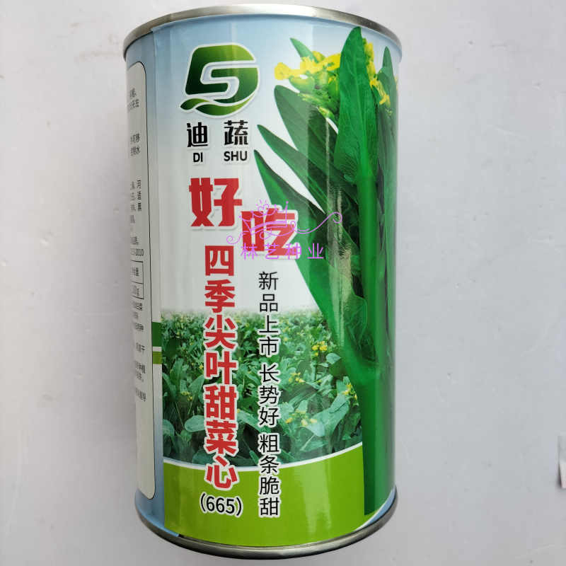 好吃四季尖叶甜菜心种子口感脆甜耐热耐湿四季油青肉厚纤维少