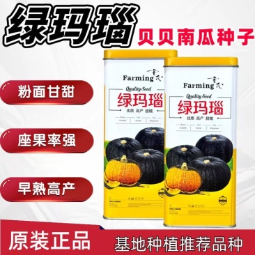 绿玛瑙贝贝南瓜品种种子
