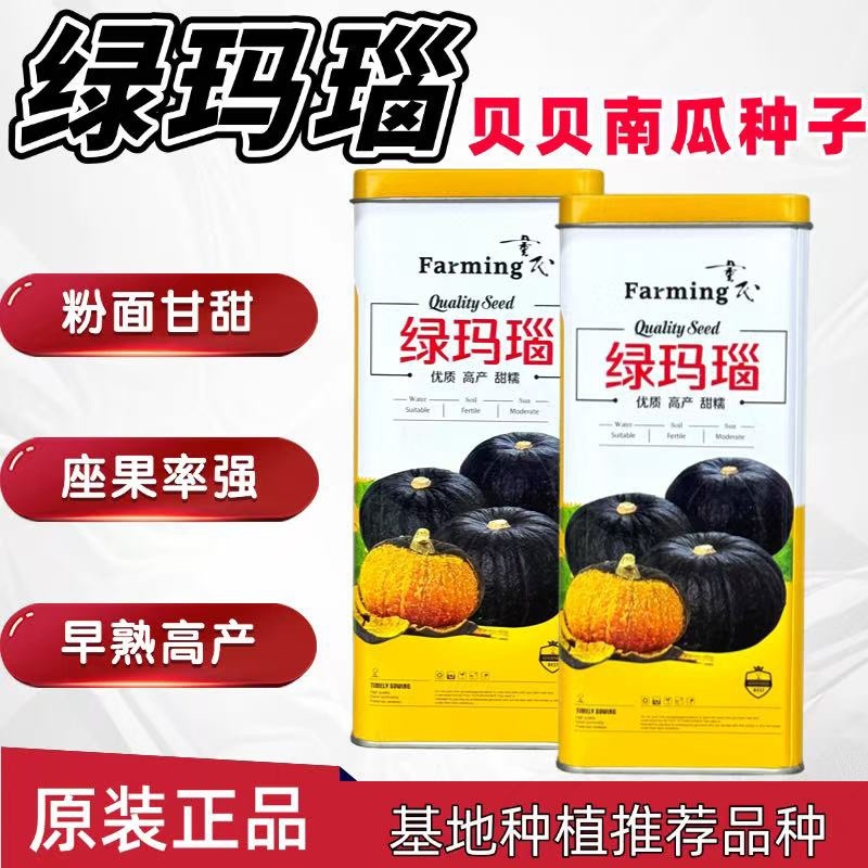 绿玛瑙贝贝南瓜品种种子