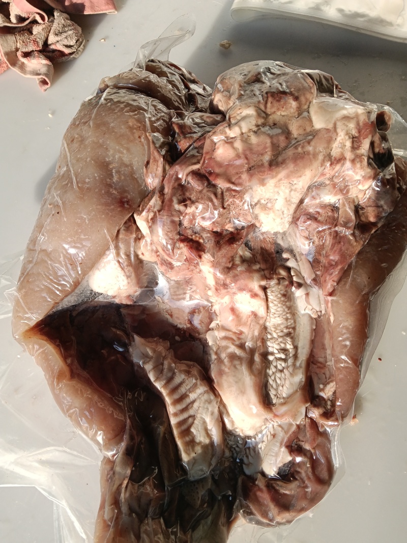 全熟牛头肉，大公牛，皮少肉厚，源头厂家，需要的老板联系！