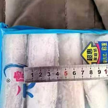 精品带鱼段