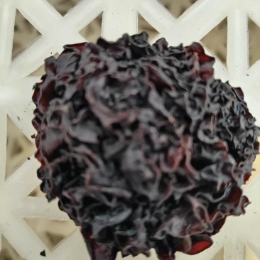血耳菌，血耳，血木耳，
