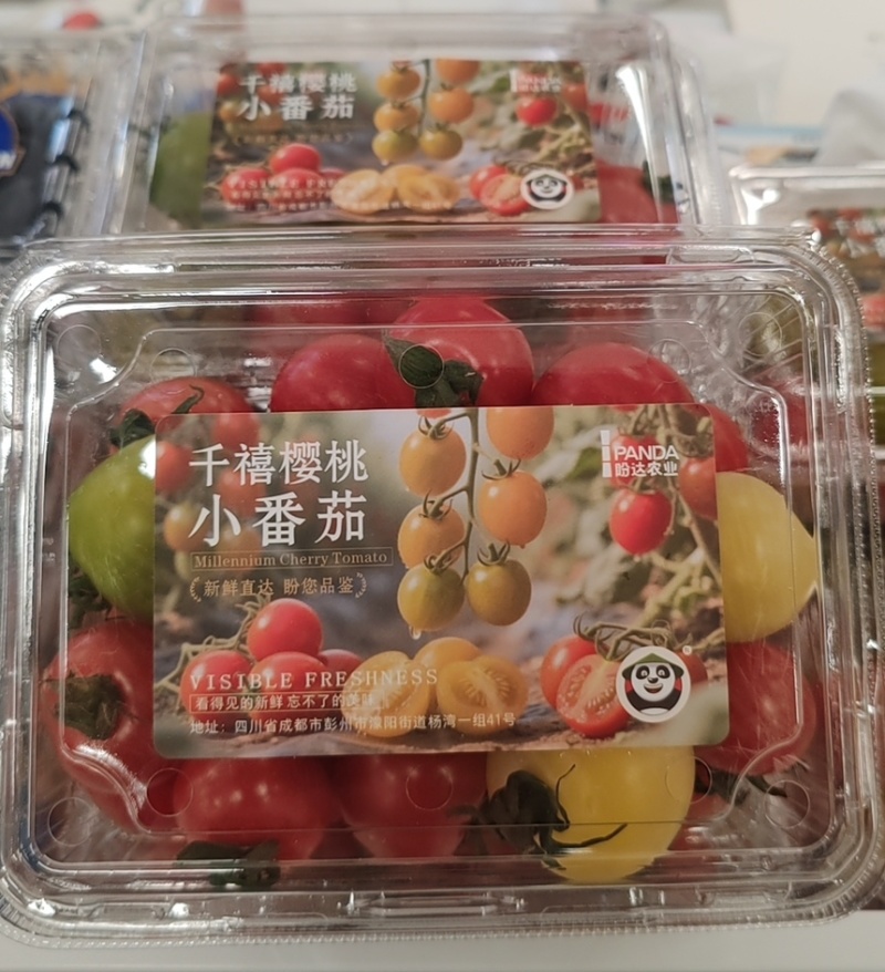 【盼达农业】五彩超甜千禧圣女果，基地直供