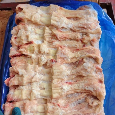 牛蹄筋，全是主筋
