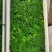 速冻荠菜新鲜速冻荠菜饺子馅大量批发一手货源充足