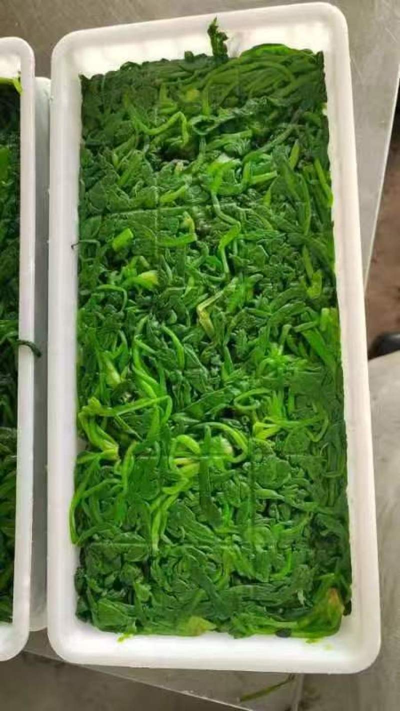 速冻荠菜新鲜速冻荠菜饺子馅大量批发一手货源充足
