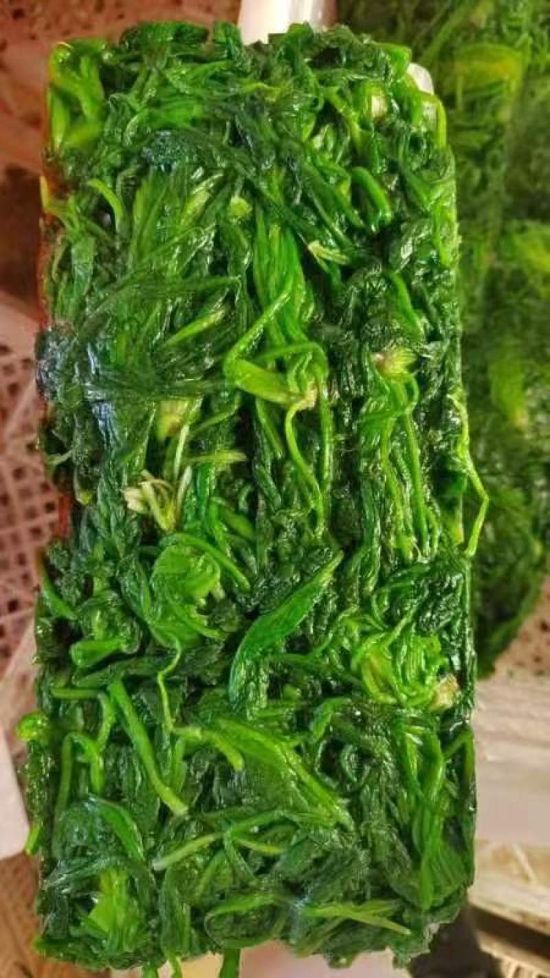 速冻荠菜新鲜速冻荠菜饺子馅大量批发一手货源充足