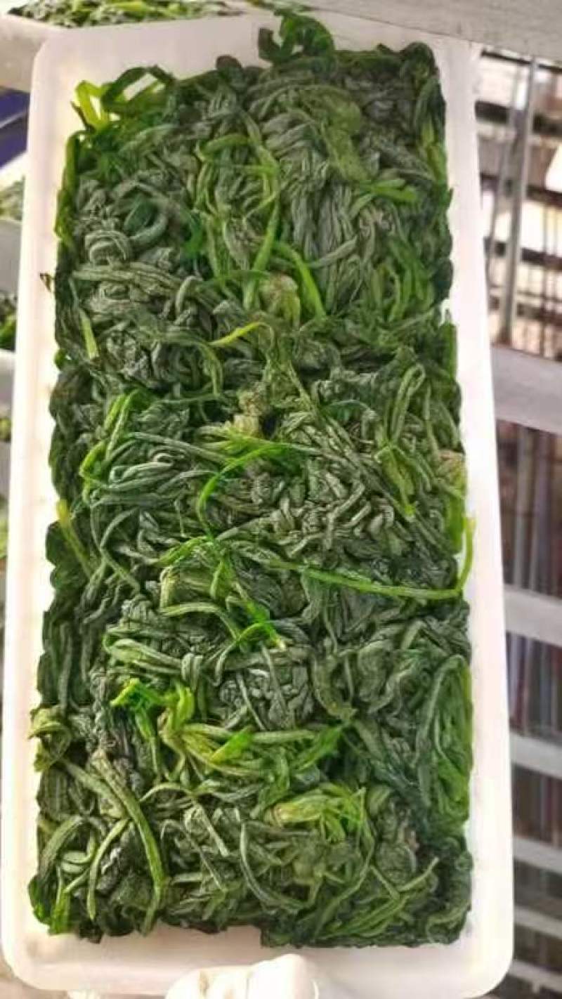速冻荠菜新鲜速冻荠菜饺子馅大量批发一手货源充足