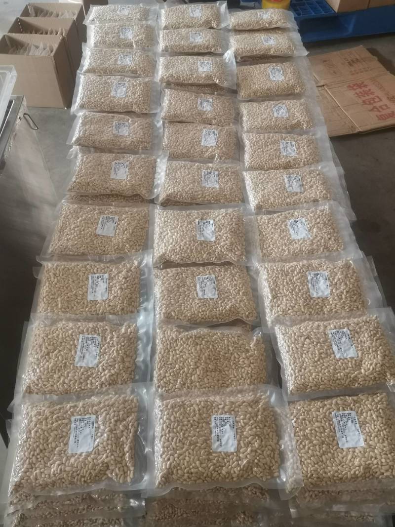肾型黑脐黄豆