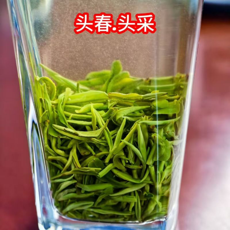 《英山云雾茶》黄冈高山云雾茶/春茶新茶/数量有限