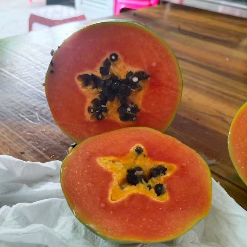 热卖中广东阳春水果木瓜红心木瓜基地直供欢迎联系订