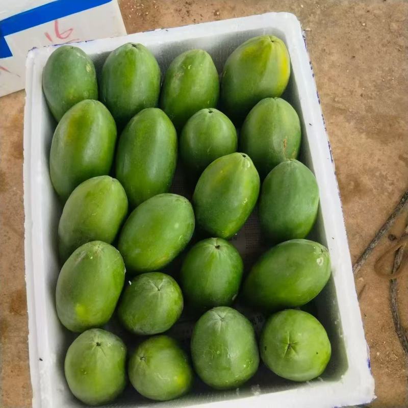 热卖中广东阳春水果木瓜红心木瓜基地直供欢迎联系订