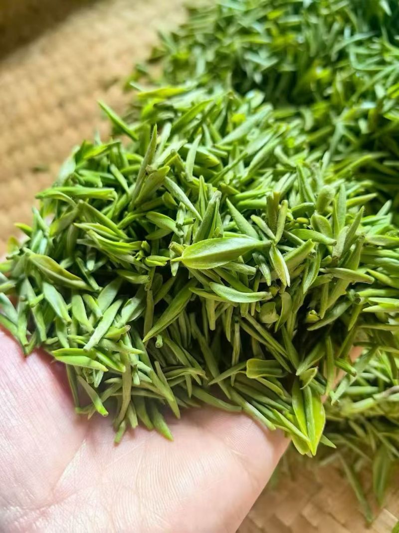 英山云雾茶/春茶，新茶上市/保质保量/来电有优惠